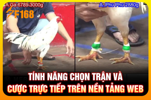 Tính năng chọn trận và cược trực tiếp trên nền tảng web